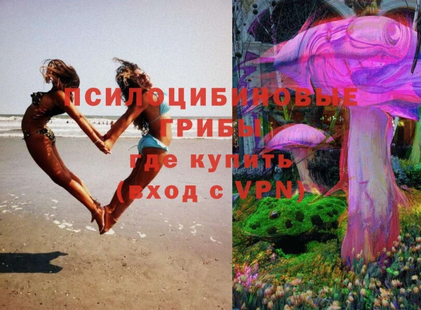 прущий лед Белокуриха