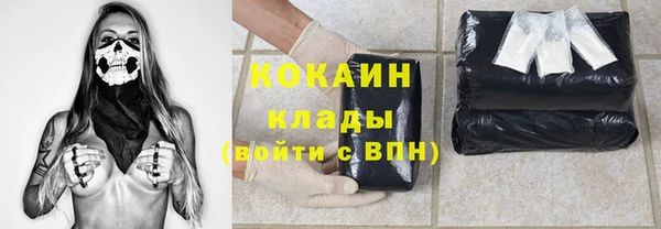 прущие грибы Строитель