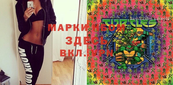 прущие грибы Строитель