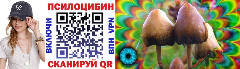Галлюциногенные грибы Psilocybe  Когалым 